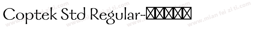 Coptek Std Regular字体转换